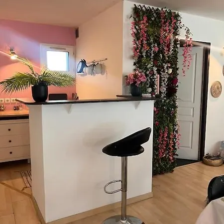 Loft Cosy Pole Dance Et Parking Prive Apartment *