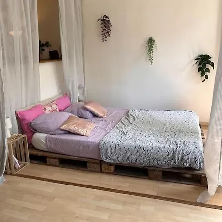 Loft Cosy Pole Dance Et Parking Prive Apartment