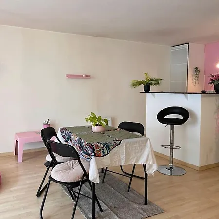 Loft Cosy Pole Dance Et Parking Prive Apartment